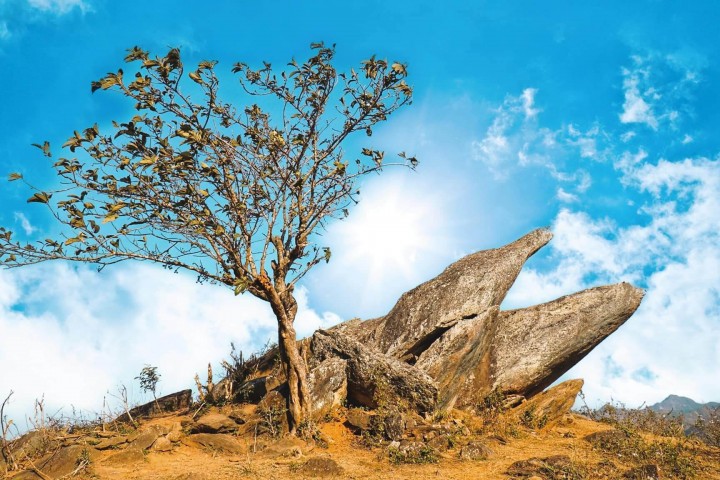 Mỏm Cá Heo – Nét Đẹp Độc Đáo Giữa Thiên Đường Biển Mây Tà Xùa