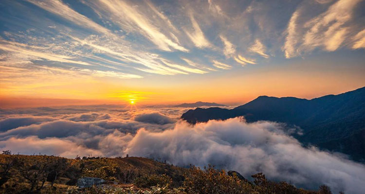 Thiên đường mây Tà Xùa