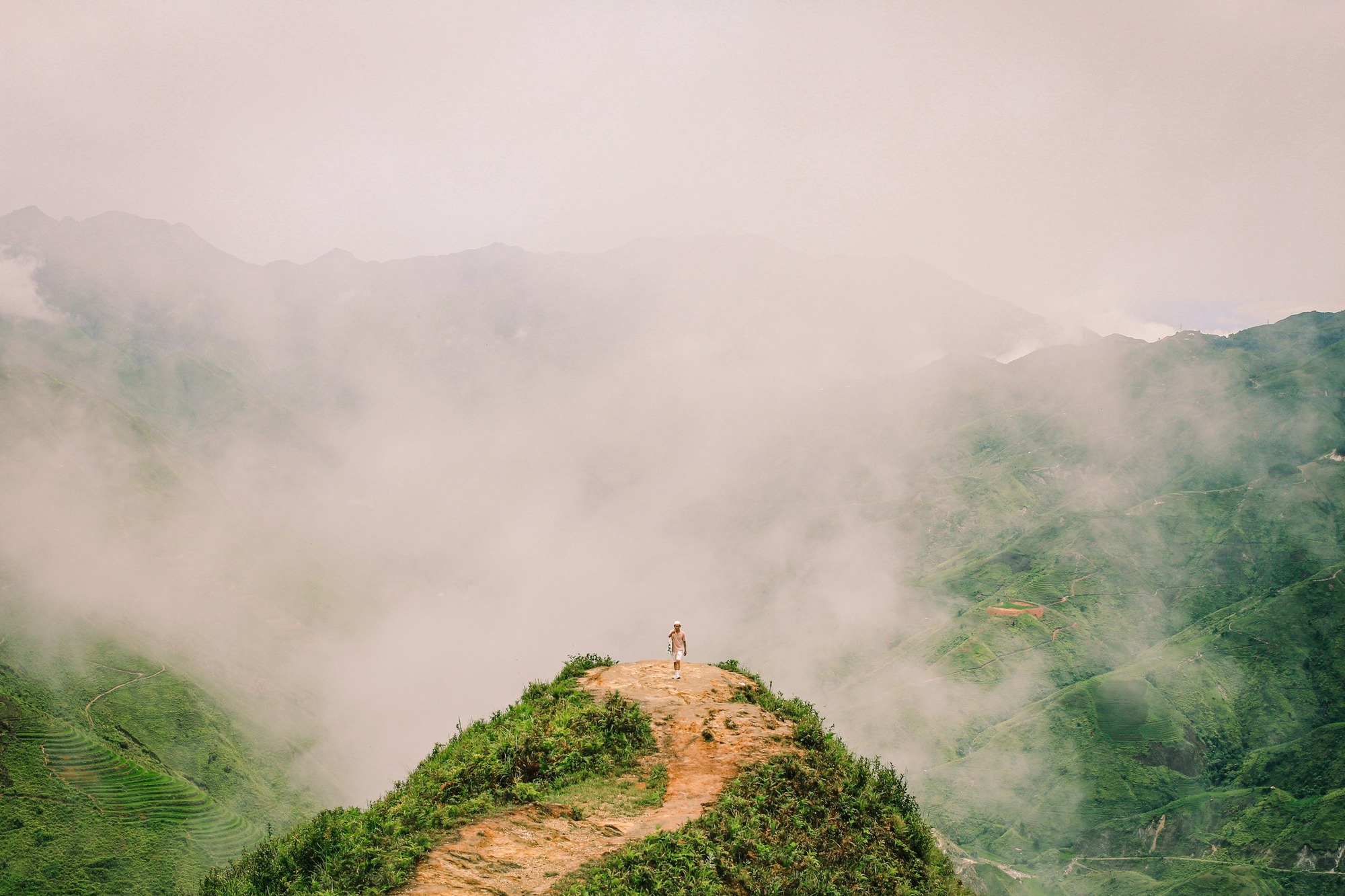 Săn mây sống lưng khủng long