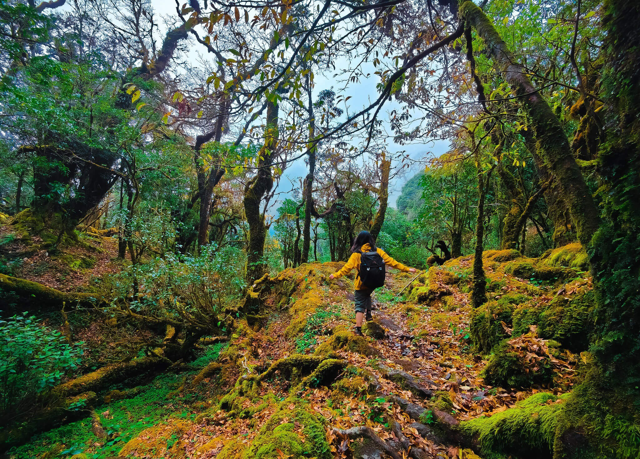 Bảo tồn và phát triển du lịch U Bò